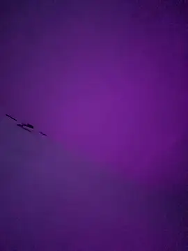 LiosArmando420 online show from 6, 1, 2026