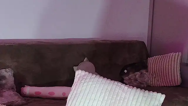 Eva Millar online show from 21, 2, 2026