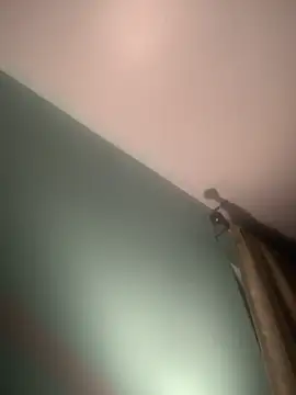 longhairjim online show from 9, 2, 2025