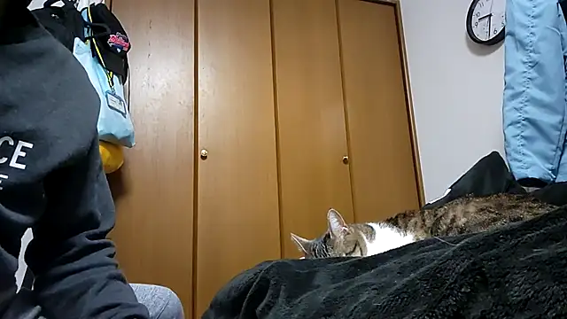 07YUKIO online show from 4, 4, 2026