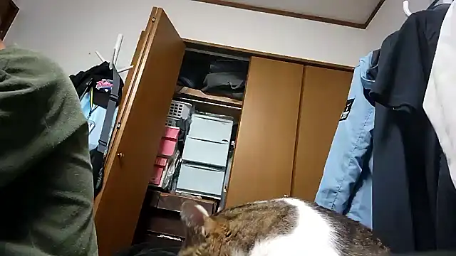 07YUKIO online show from 13, 4, 2026