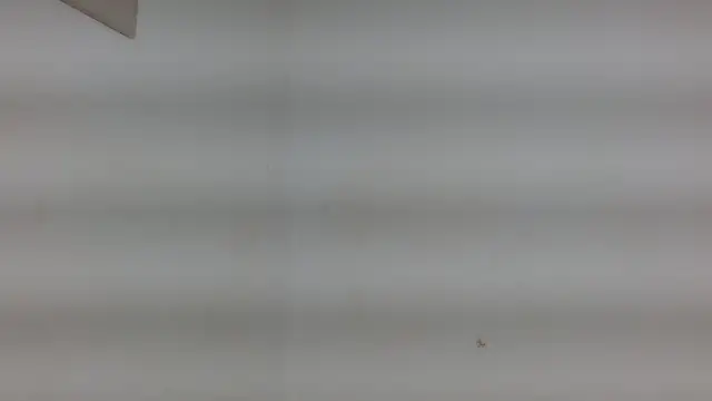 Snapshot of yulissa18 chatting on 29, 1, 2025 yulissa18 online show from 29, 1, 2025