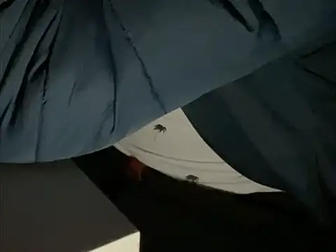 tomazu11 online show from 26, 10, 2025