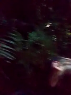 Snapshot of mis312 chatting on 5, 3, 2025 mis312 online show from 5, 3, 2025