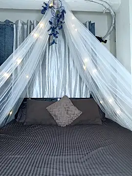 Bold-Cat online show from 18, 2, 2026