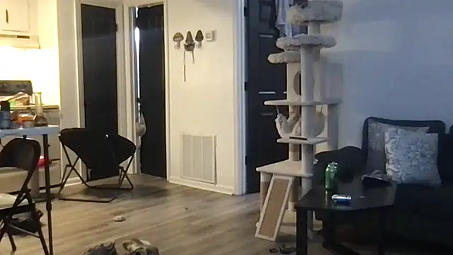 SpunCandy online show from 1, 10, 2025