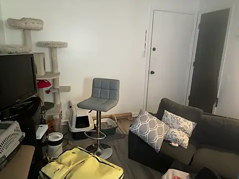 Snapshot of SpunCandy chatting on 8, 6, 2026 SpunCandy online show from 8, 6, 2026
