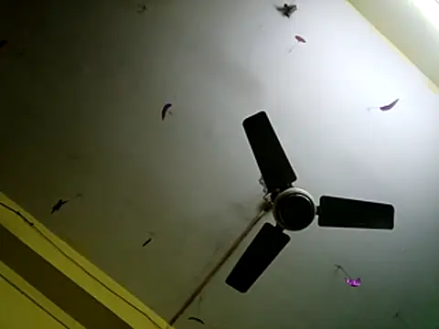 Snapshot of Sexyranibhabhi chatting on 14, 12, 2025 Sexyranibhabhi online show from 14, 12, 2025