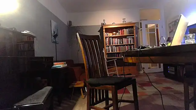 Snapshot of RolfS chatting on 15, 11, 2025 RolfS online show from 15, 11, 2025