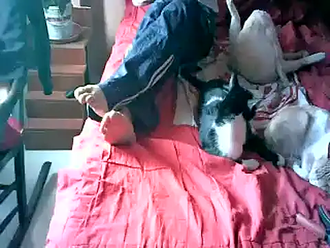 2mgars online show from 22, 9, 2025