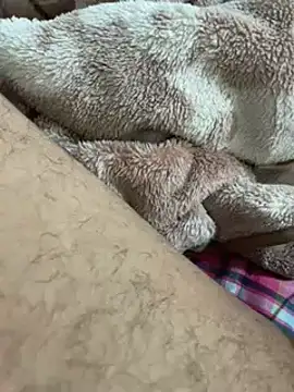 Snapshot of 34mert343431 chatting on 21, 1, 2025 34mert343431 online show from 21, 1, 2025