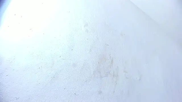 Snapshot of brant_garciabbc chatting on 1, 2, 2025 brant garciabbc online show from 1, 2, 2025