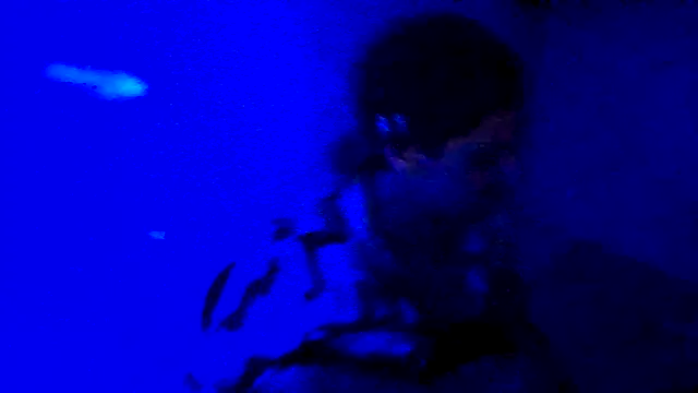 couplemilk online show from 6, 4, 2026