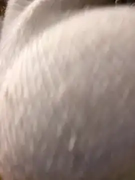 Snapshot of Giuliana_baby chatting on 10, 3, 2025 Giuliana baby online show from 10, 3, 2025