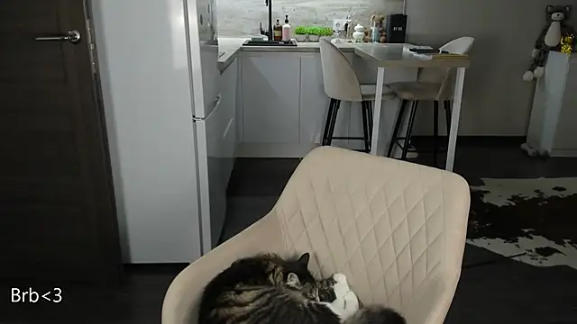 nilliluv online show from 19, 3, 2026