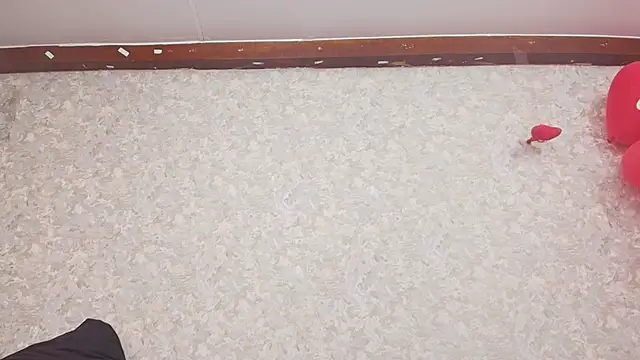 Snapshot of nicol_f chatting on 15, 2, 2025 nicol f online show from 15, 2, 2025