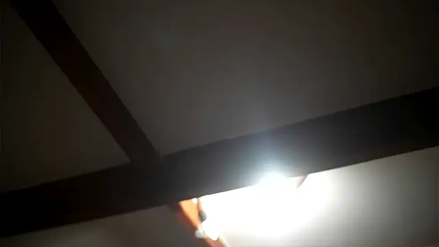 Bellis Perenis online show from 27, 2, 2026