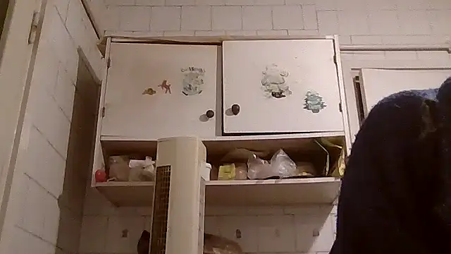 mariusica1xh online show from 14, 4, 2026