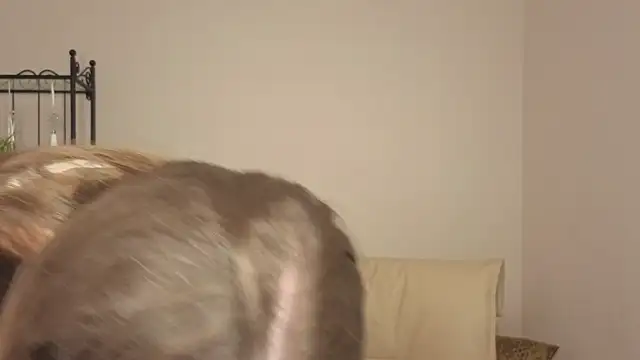 Helens love online show from 30, 5, 2026
