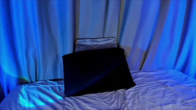 EviePhoenix online show from 18, 12, 2025