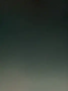 skatebored online show from 28, 2, 2026