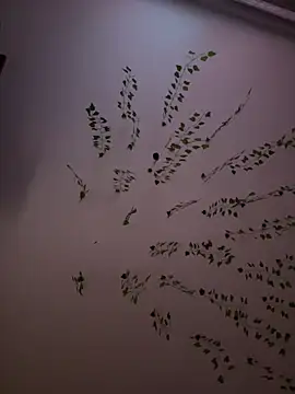 Snapshot of -Sexy_Barbie- chatting on 8, 2, 2025 -Sexy Barbie- online show from 8, 2, 2025