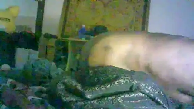 DI4MOND FIR3 online show from 2, 2, 2026