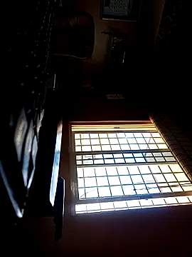 daddy indian online show from 20, 3, 2025