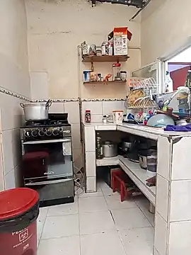 florecita9 online show from 12, 12, 2024