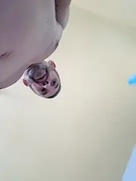 Snapshot of chris_sbh chatting on 1, 2, 2025 chris sbh online show from 1, 2, 2025