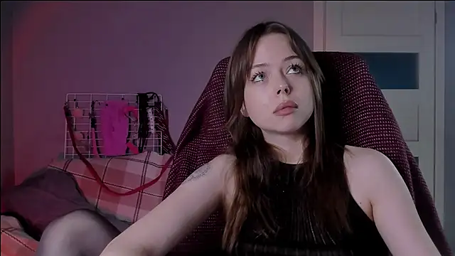 hype meal home online show from 27, 11, 2025