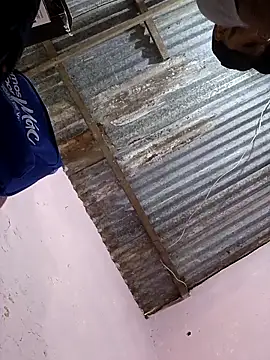 Sur1711 online show from 5, 1, 2026