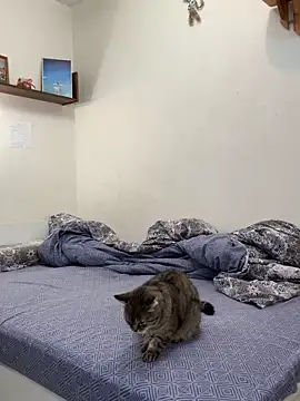 Snapshot of UmaTruewoman chatting on 18, 11, 2025 UmaTruewoman online show from 18, 11, 2025