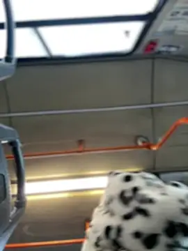 Snapshot of Milkyy_wway chatting on 19, 1, 2025 Milkyy wway online show from 19, 1, 2025