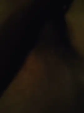 EddiedLawn online show from 29, 5, 2026