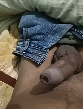 Snapshot of iaparna chatting on 30, 12, 2024 iaparna online show from 30, 12, 2024