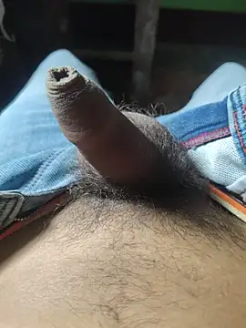 Snapshot of iaparna chatting on 6, 11, 2025 iaparna online show from 6, 11, 2025