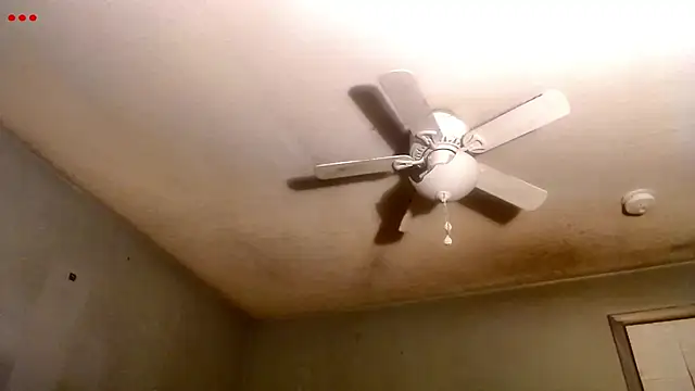 VanceFontaine online show from 24, 3, 2026