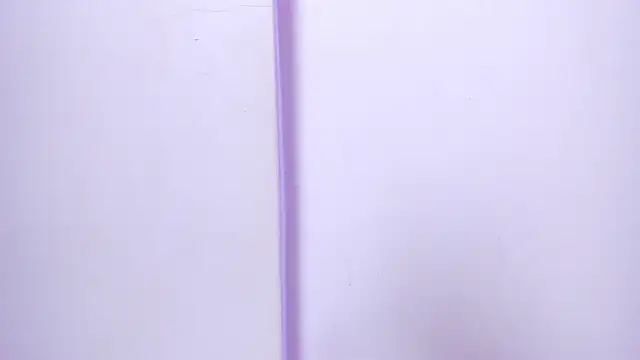 Snapshot of celestelewis chatting on 27, 2, 2025 celestelewis online show from 27, 2, 2025