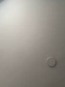 Arilw online show from 17, 10, 2025