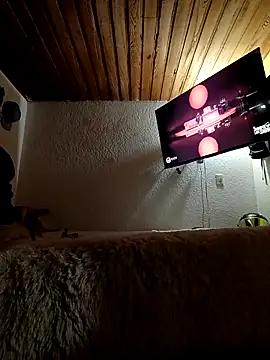 Ssan25 online show from 20, 3, 2026