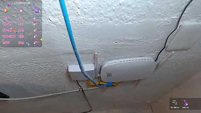 lin jayani online show from 5, 3, 2026