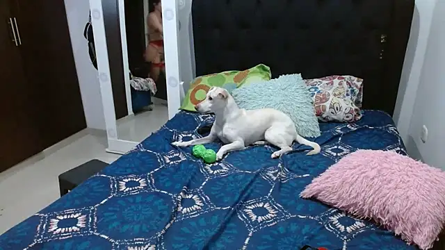 Snapshot of amazonafit_ chatting on 15, 2, 2025 amazonafit online show from 15, 2, 2025