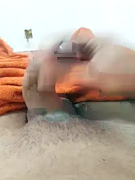 lm279 online show from 4, 3, 2026