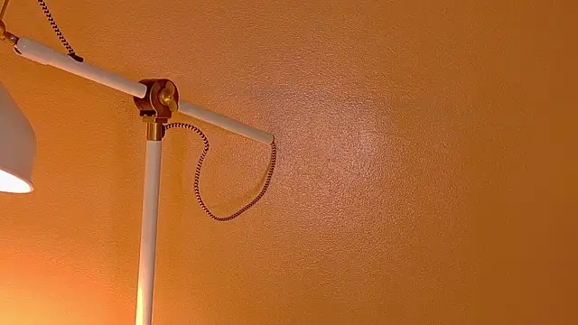 Snapshot of ParisFox_ chatting on 20, 12, 2025 ParisFox online show from 20, 12, 2025