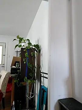 Snapshot of QcMisterv13 chatting on 30, 9, 2025 QcMisterv13 online show from 30, 9, 2025