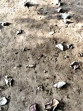 Ishan003 online show from 12, 9, 2025