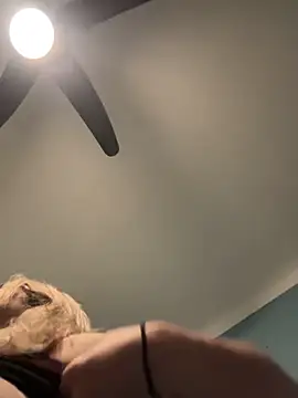 Snapshot of Annelibre chatting on 14, 11, 2025 Annelibre online show from 14, 11, 2025