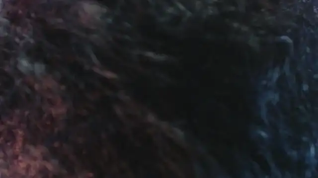 Sofiacowperx online show from 31, 3, 2026