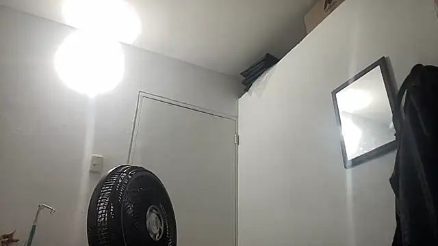 EvaHalsey online show from 6, 1, 2026